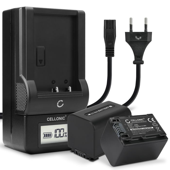 2x Sony NP-FV30 Batterie