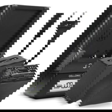 Pack de 2x batteries NP-FV70 NP-FV100 2200mAh pour appareil photo Sony AX100 FDR-AX700 PXW-Z90 HXR-NX80 HDR-CX625 CX680 CX900 CX450 NEX-VG30 VG20 VG10 - Avec chargeur AC-VQV10, BC-TRV et câble d'alimentation