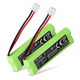 2x 400mAh 2.4V