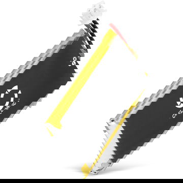 Batterie pour SportDOG SD-425, SD-825, SR-225 - SAC54-13735 (160mAh) Batterie de remplacement