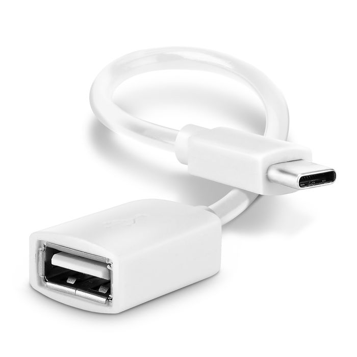 Câble USB OTG pour Nintendo Switch / Switch Lite - Adaptateur OTG couleur blanc