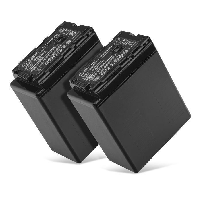 2x Panasonic VW-VBG6 Batterie