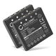 2x 700mAh 6V