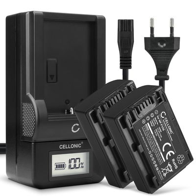 Pack de 2x batteries NP-FV70A NP-FV50A NP-FV30 NP-FV90 NP-FV100A 650mAh pour appareil photo Sony FDR-AX33 AX53 AX100e HDR-PJ810 PJ530 PJ330 PJ260 HDR-CX625 CX900 HDR-XR550 NEX-VG900 - Avec chargeur et câble d'alimentation