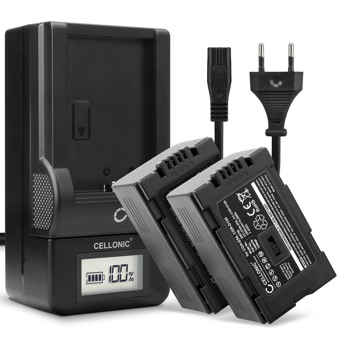 Pack de 2x Batteries Panasonic AG-DVX100 Accu 2200mAh avec station de chargement à affichage LED et prise secteur