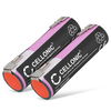 2x Battery 2900mAh