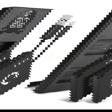 2x Batterie DMW-BLG10 DMW-BLE9PP 730mAh + Chargeur Double DE-A98A pour Panasonic GX9 GX7 GX80 LX100 II Lumix GX80 TZ81 TZ80 TZ90 TZ95 TZ100 TZ202 DC-GX9 GF3, DMW-BLG10