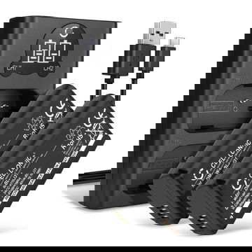 2x Batterie DMW-BLJ31 3400mAh + Chargeur Double DMW-BTC14E pour Panasonic Lumix DC-S1, Lumix DC-S1H, Lumix DC-S1R