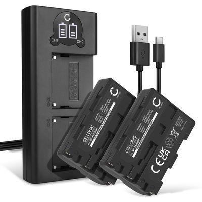 2x Batterie NP-FM500H 1400mAh + Chargeur Double BC-VM10A pour Sony A58 A57 A65 A68 A77 II A99 II Alpha 68 A200 A300 A350 A500 A700 A900 DSLR-A200 SLT-A57