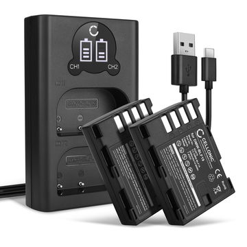 2x Batterie DMW-BLF19 DMW-BLF19E DMW-BLF19PP 2000mAh + Chargeur Double DMW-BTC10E pour Panasonic Lumix DC-GH5s GH5 DMC-GH4 GH4 GH4r GH4h GH3 DMC-GH3h GH3a G9 DC-G9