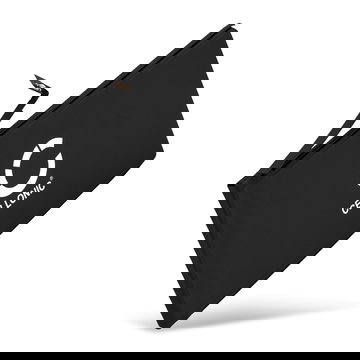 Batterie A2479 2815mAh pour téléphone portable Apple iPhone 12 / iPhone 12 Pro