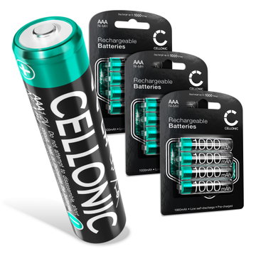 12x AAA Batterie pour Siemens Gigaset A400, A415, AS405, A510, AS690, C430, C530HX, CL660HX, E560, E290A - (1000mAh) Batterie de remplacement