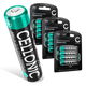 12x 1000mAh 1.2V